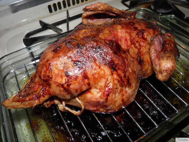 Roasted Duck